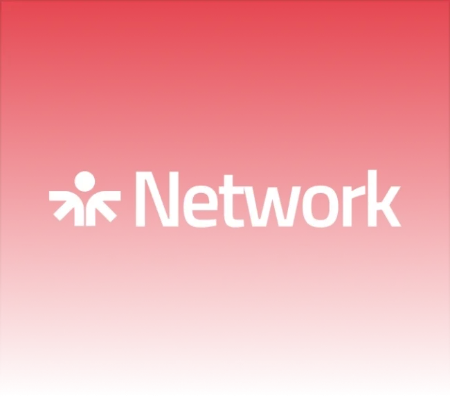 The Professional Theft